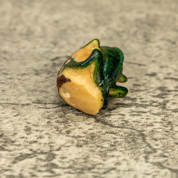 Green Iguana Lizard Tagua Nut Carving