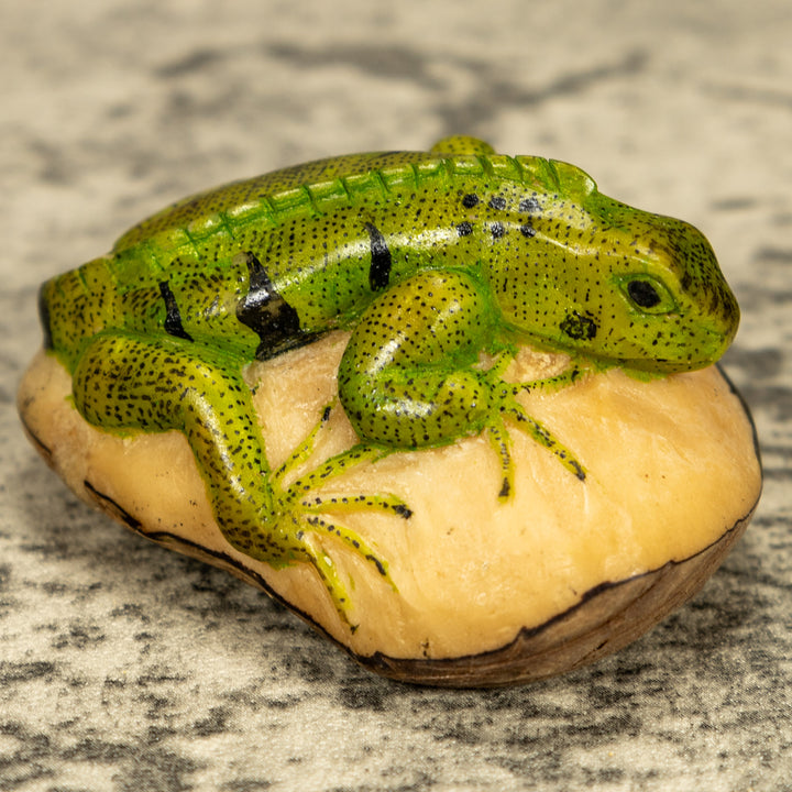 Green Iguana Lizard Tagua Nut Carving