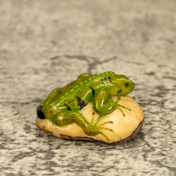 Green Iguana Lizard Tagua Nut Carving