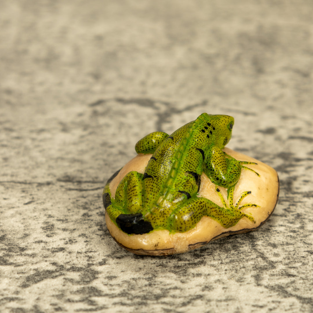 Green Iguana Lizard Tagua Nut Carving