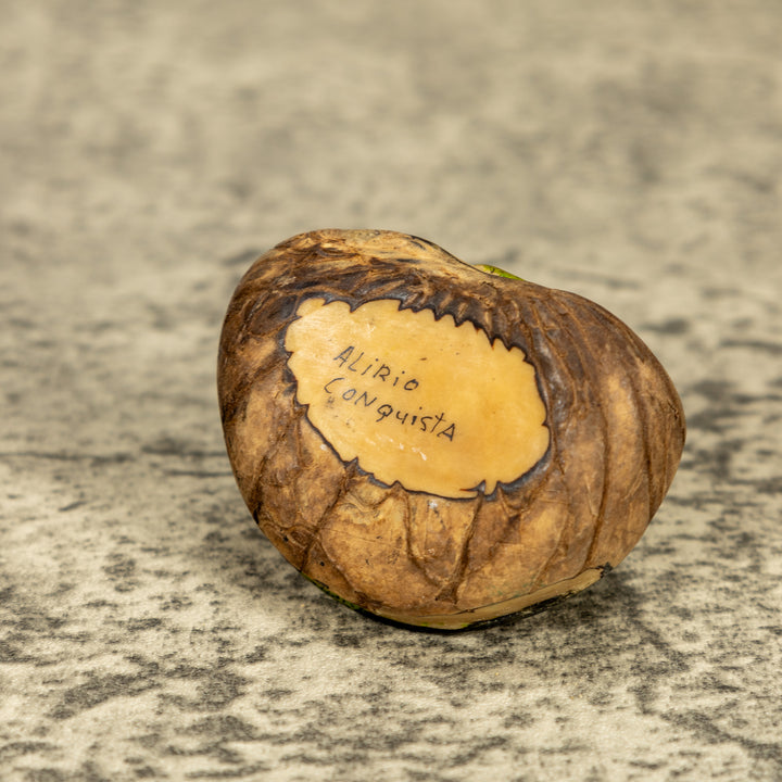 Green Iguana Lizard Tagua Nut Carving