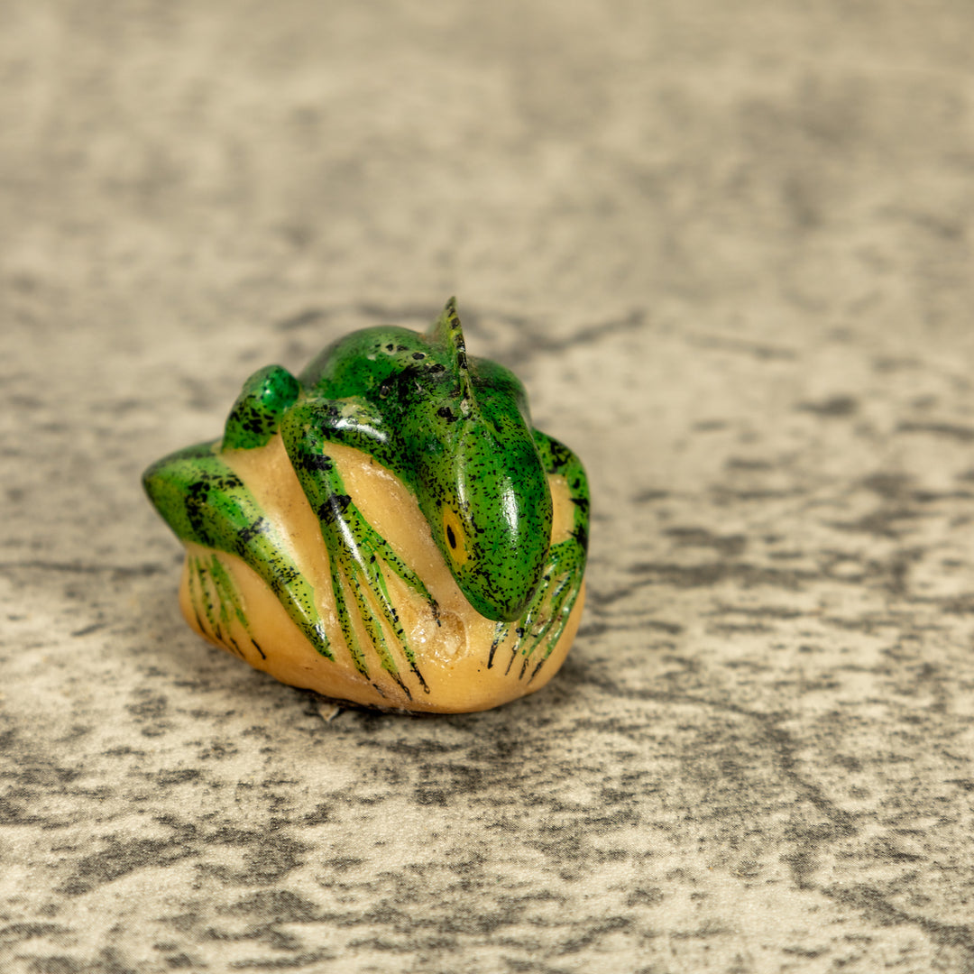 Green Iguana Lizard Tagua Nut Carving