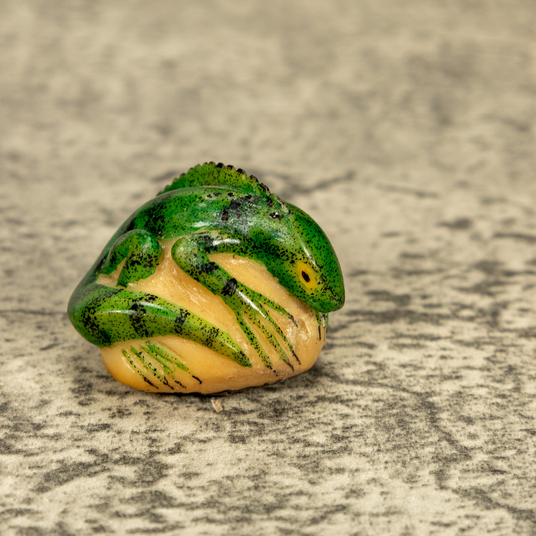 Green Iguana Lizard Tagua Nut Carving