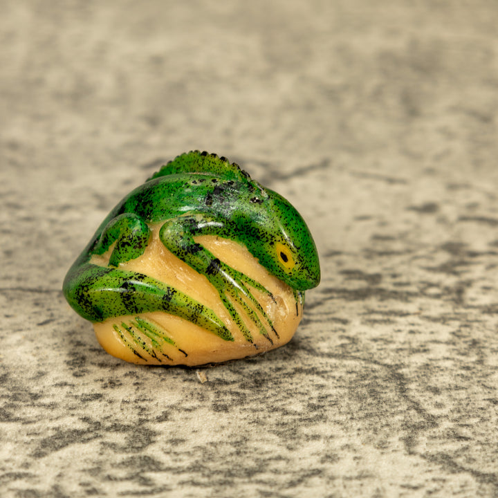Green Iguana Lizard Tagua Nut Carving