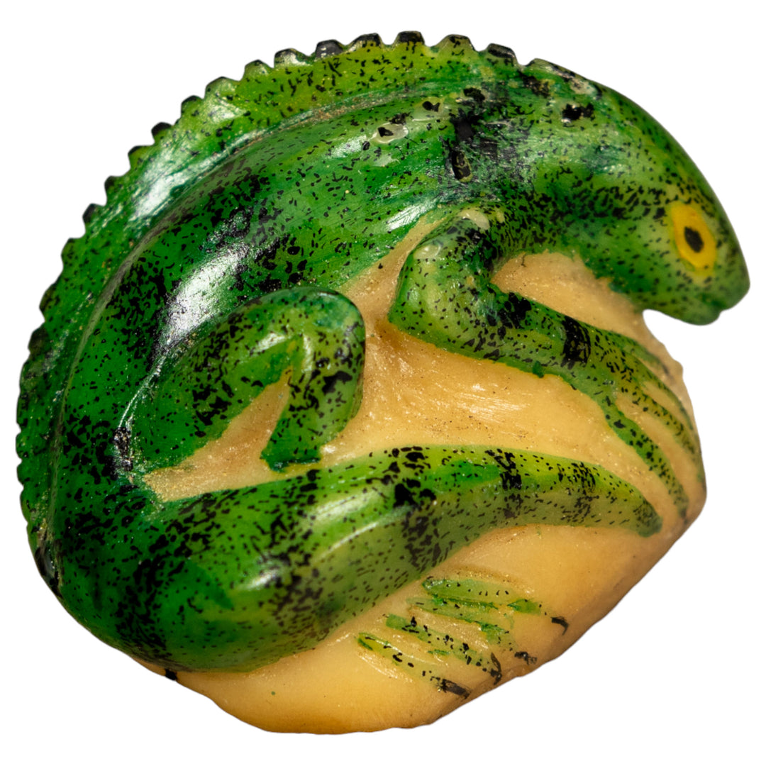 Green Iguana Lizard Tagua Nut Carving