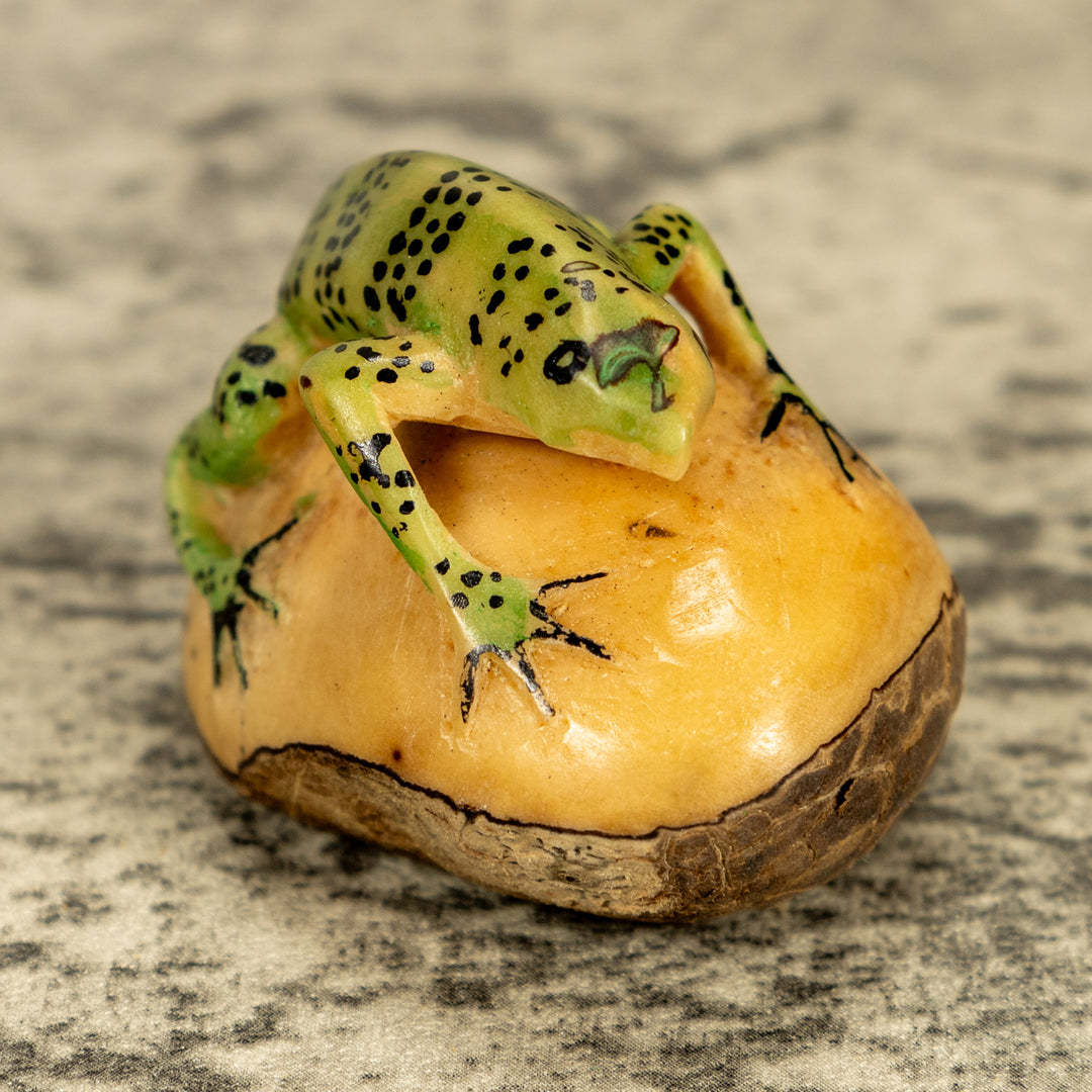 Green Iguana Lizard Tagua Nut Carving