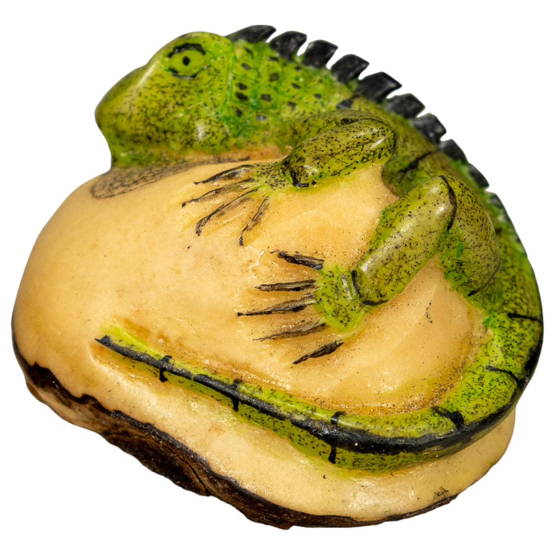Green Iguana Lizard Tagua Nut Carving