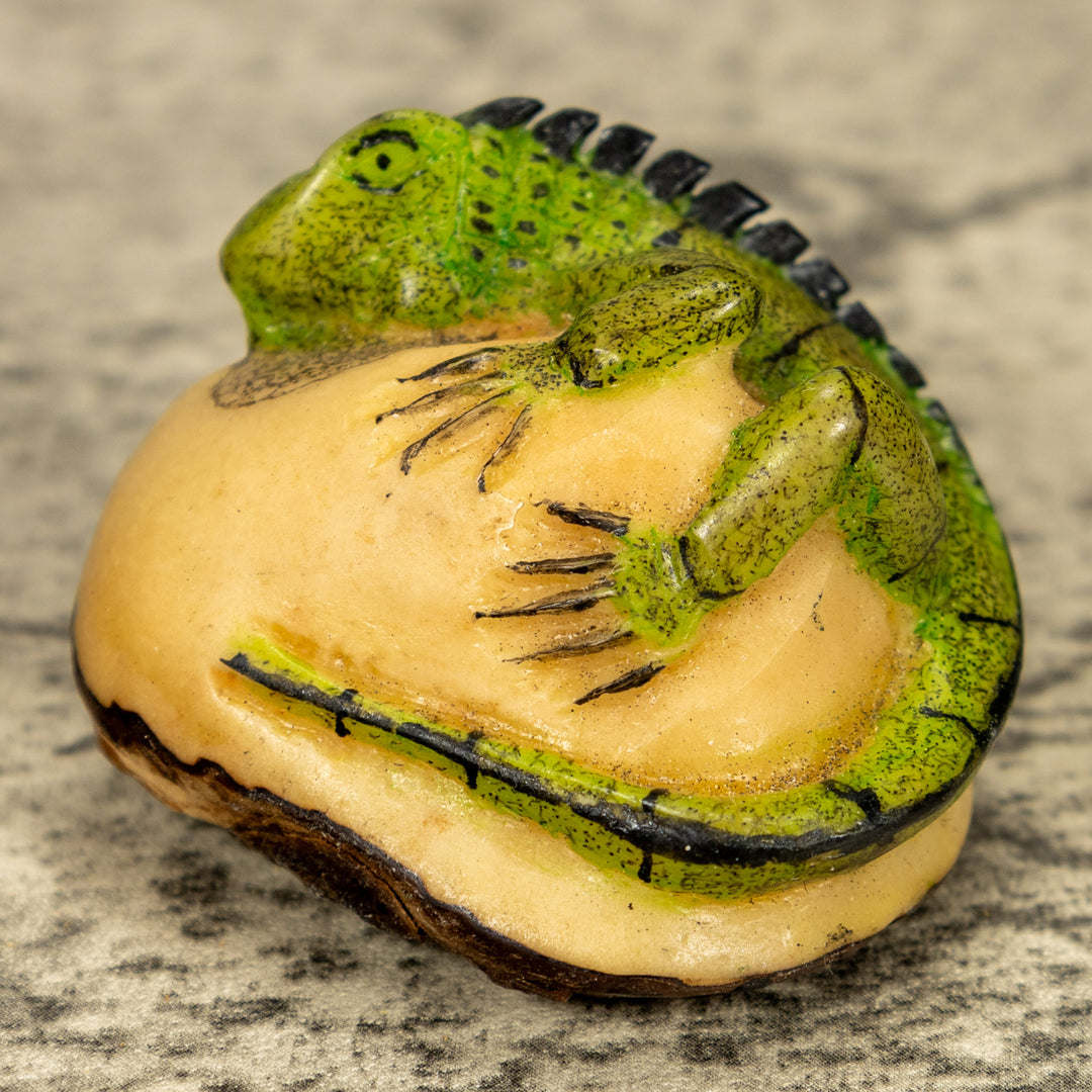 Green Iguana Lizard Tagua Nut Carving