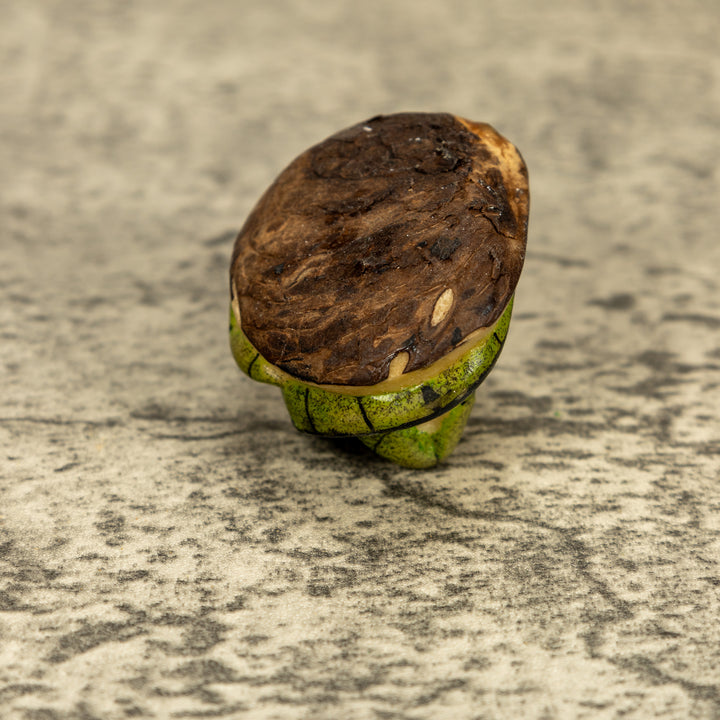 Green Iguana Lizard Tagua Nut Carving