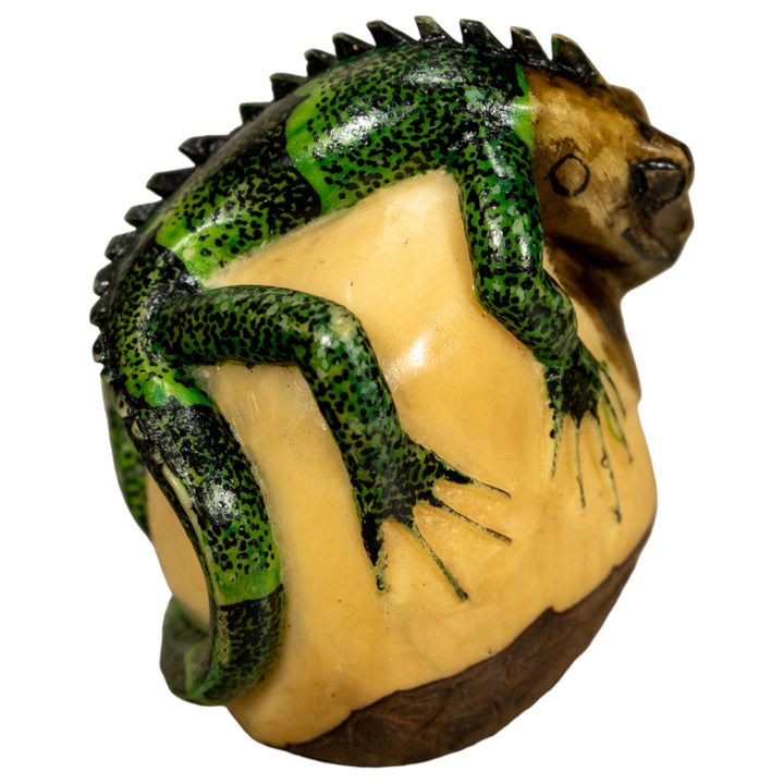Green Iguana Lizard Tagua Nut Carving
