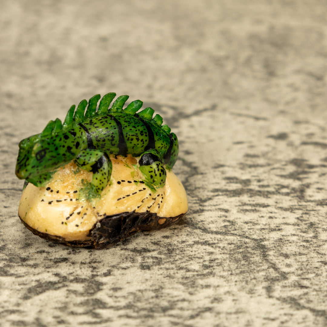 Green Iguana Lizard Tagua Nut Carving