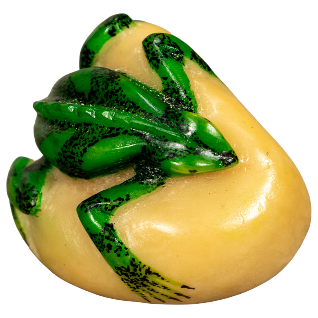 Green Iguana Lizard Tagua Nut Carving