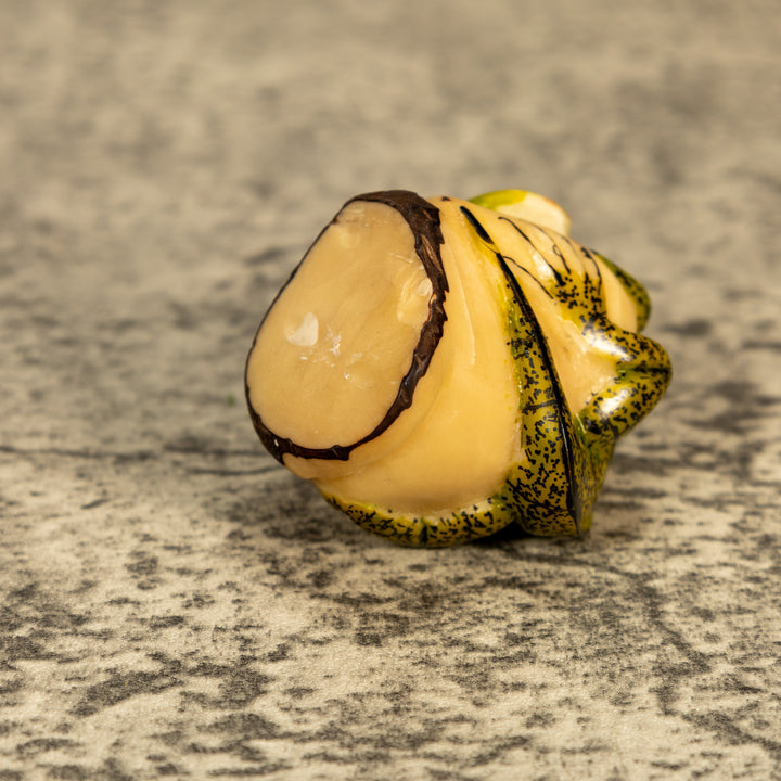 Green Iguana Lizard Tagua Nut Carving