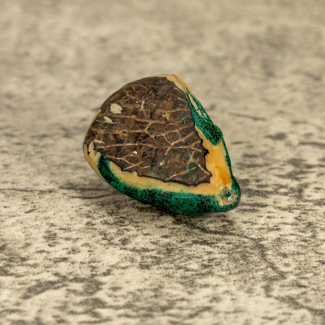 Green Iguana Lizard Tagua Nut Carving