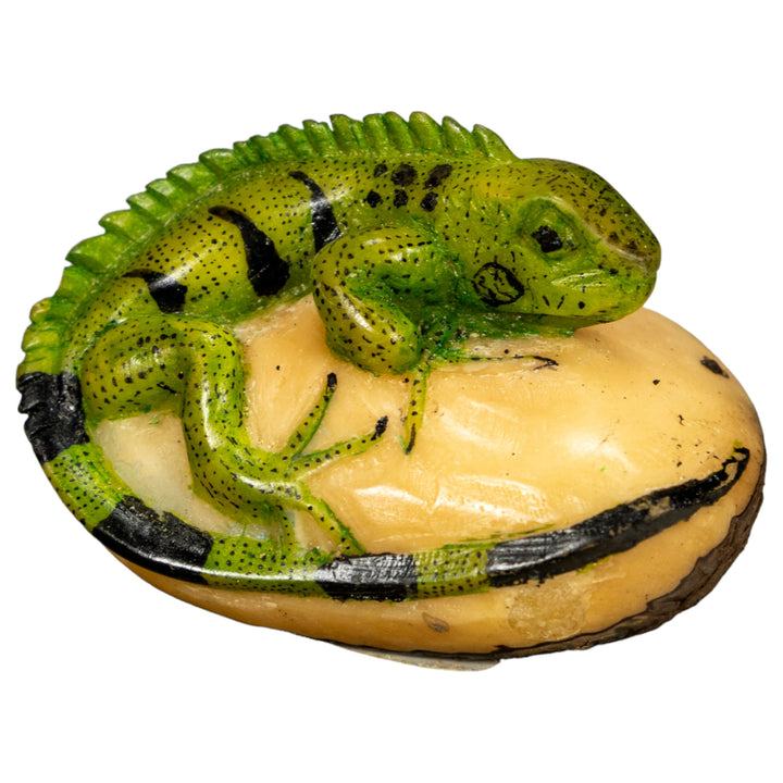 Green Iguana Lizard Tagua Nut Carving
