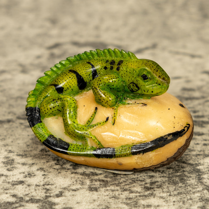 Green Iguana Lizard Tagua Nut Carving