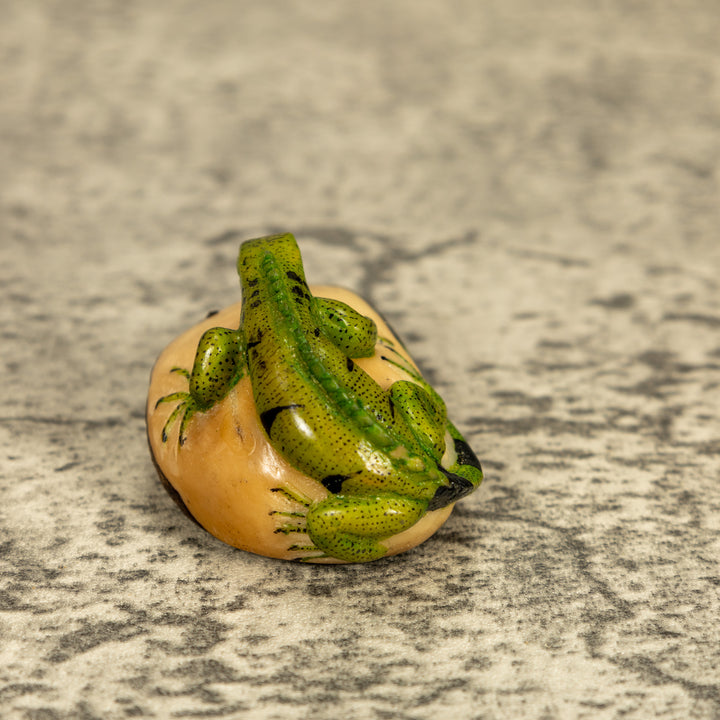 Green Iguana Lizard Tagua Nut Carving