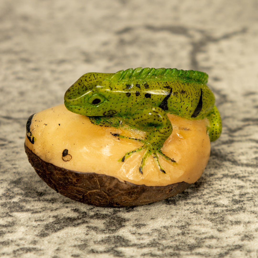 Green Iguana Lizard Tagua Nut Carving