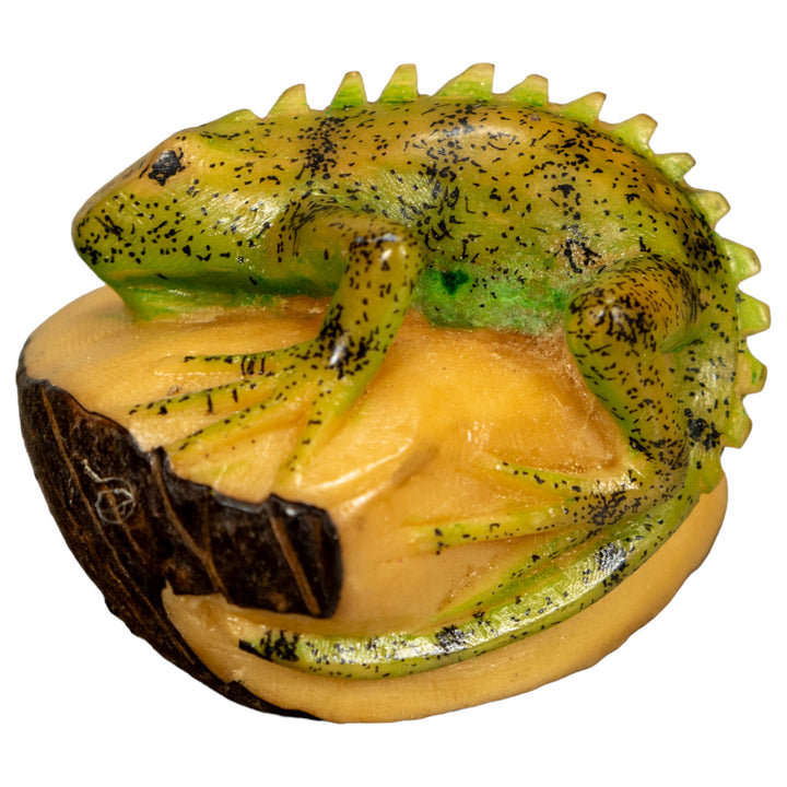 Green Iguana Lizard Tagua Nut Carving