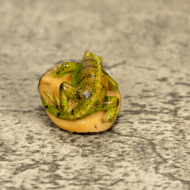Green Iguana Lizard Tagua Nut Carving