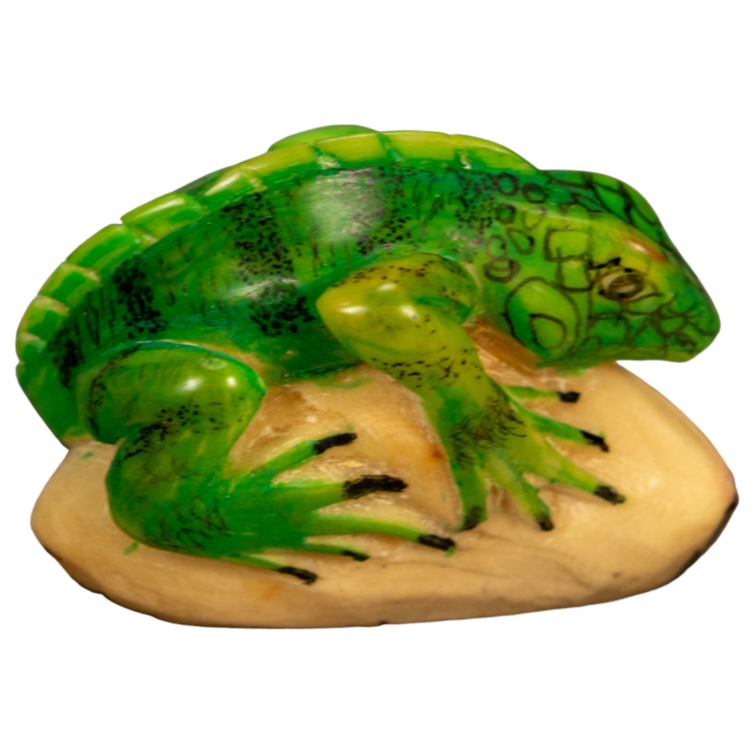 Green Iguana Lizard Tagua Nut Carving