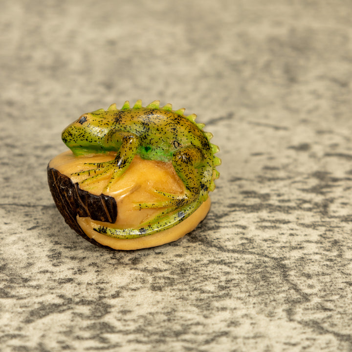Green Iguana Lizard Tagua Nut Carving