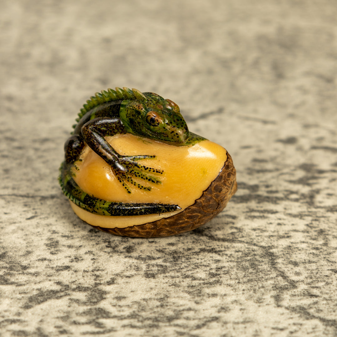 Green Iguana Lizard Tagua Nut Carving