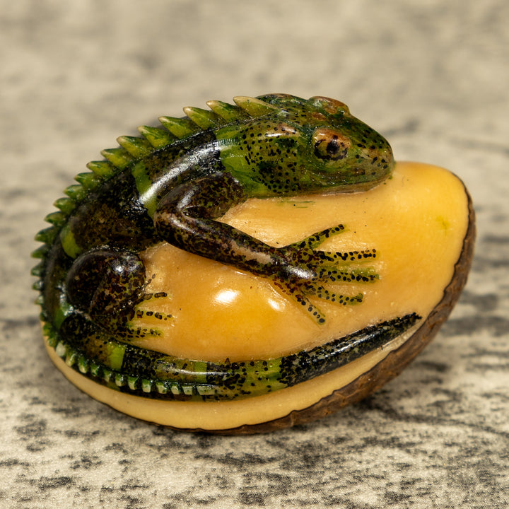 Green Iguana Lizard Tagua Nut Carving