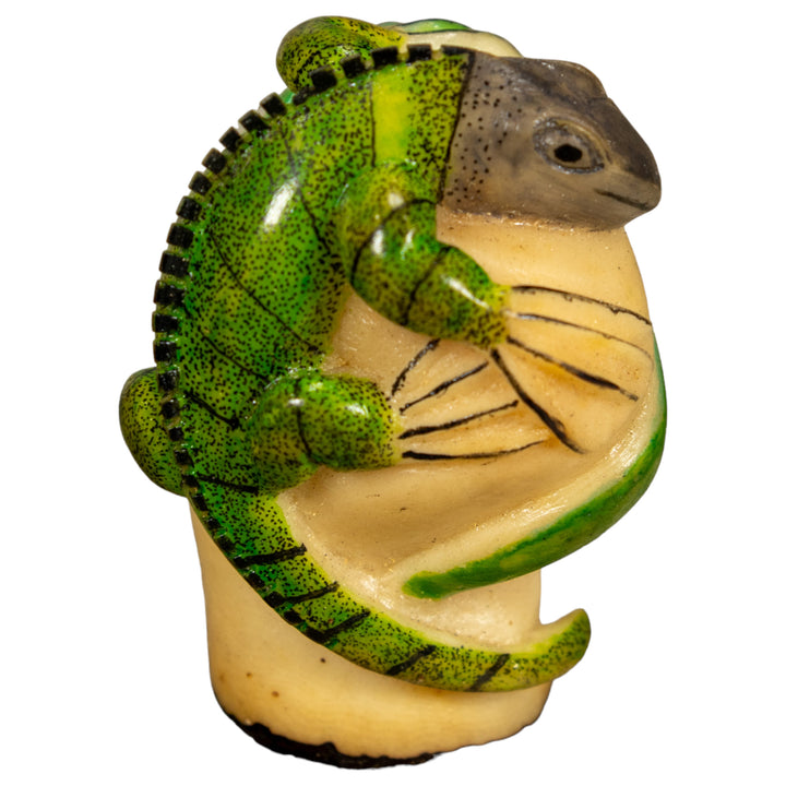 Green Iguana Lizard Tagua Nut Carving