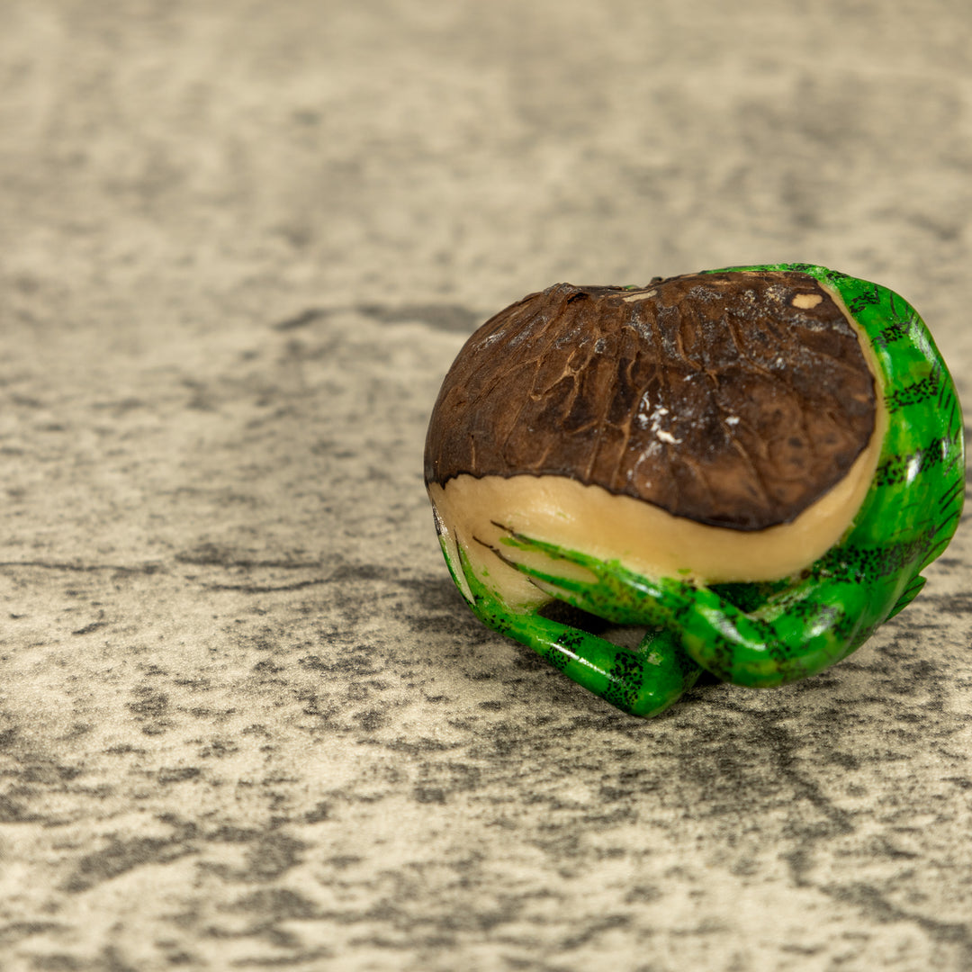 Green Iguana Lizard Tagua Nut Carving