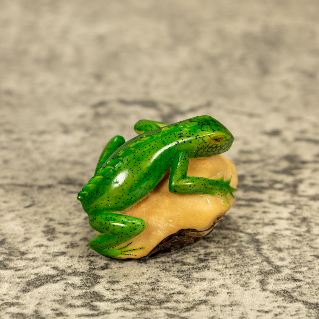 Green Iguana Lizard Tagua Nut Carving