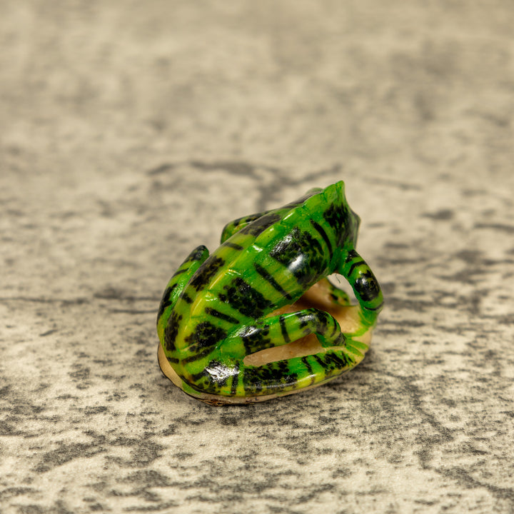 Green Iguana Lizard Tagua Nut Carving