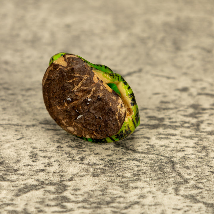 Green Iguana Lizard Tagua Nut Carving