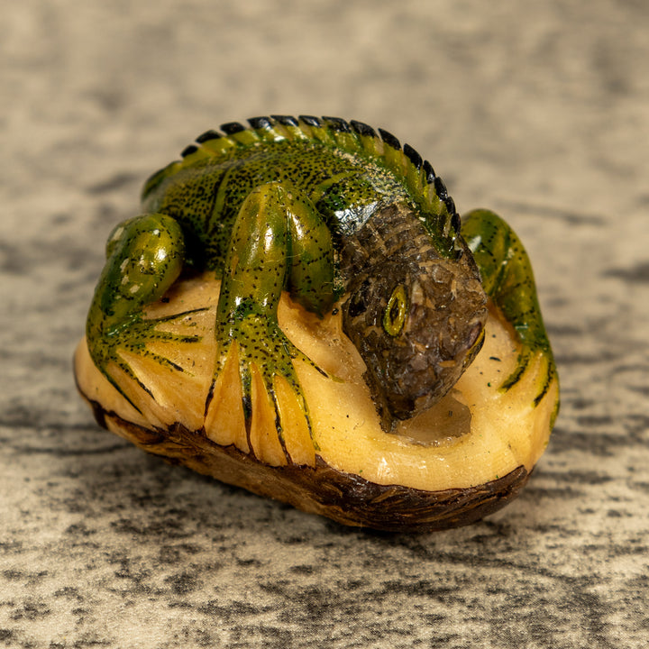 Green Iguana Lizard Tagua Nut Carving