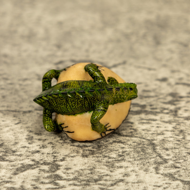 Green Iguana Lizard Tagua Nut Carving