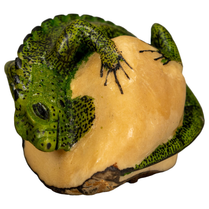 Green Iguana Lizard Tagua Nut Carving