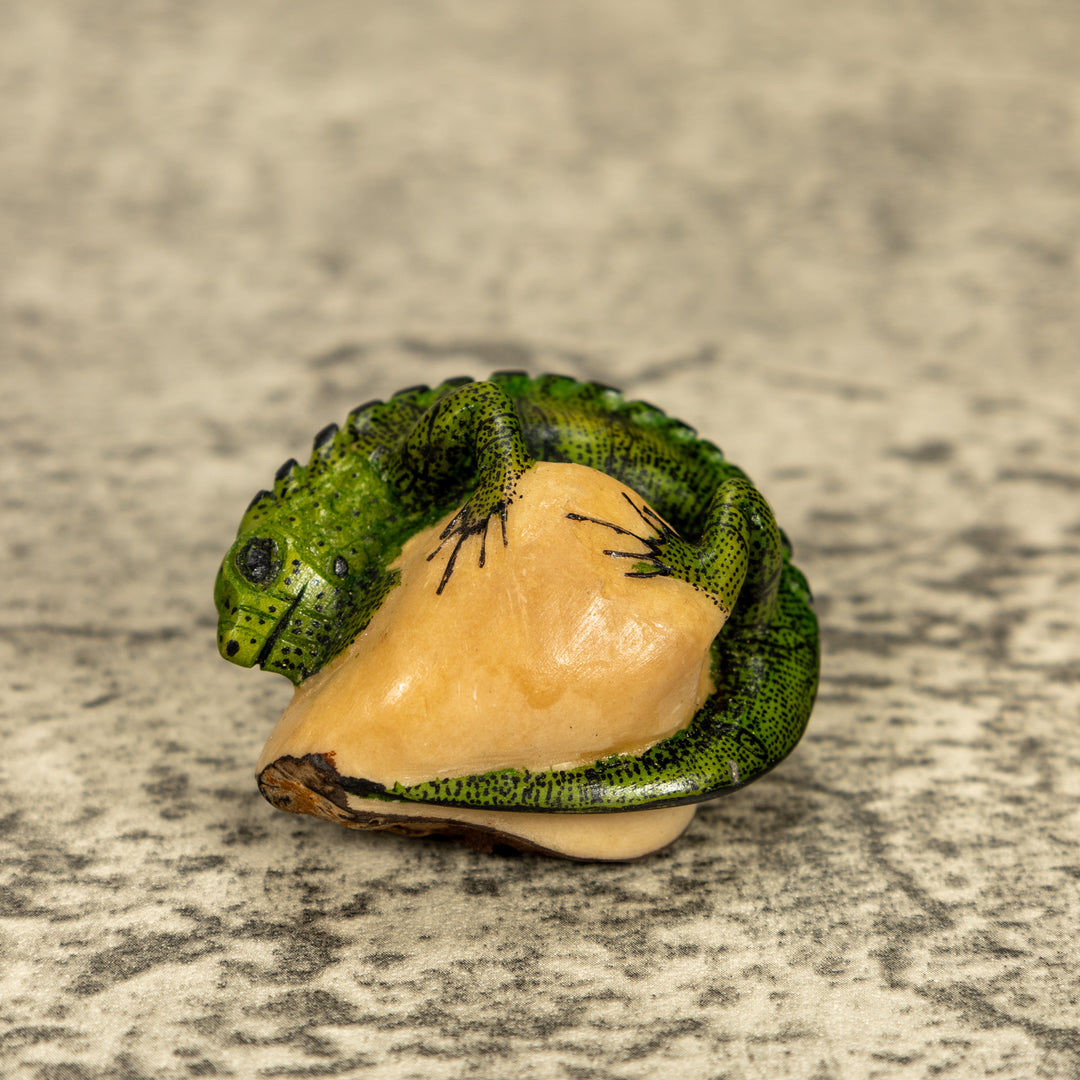 Green Iguana Lizard Tagua Nut Carving