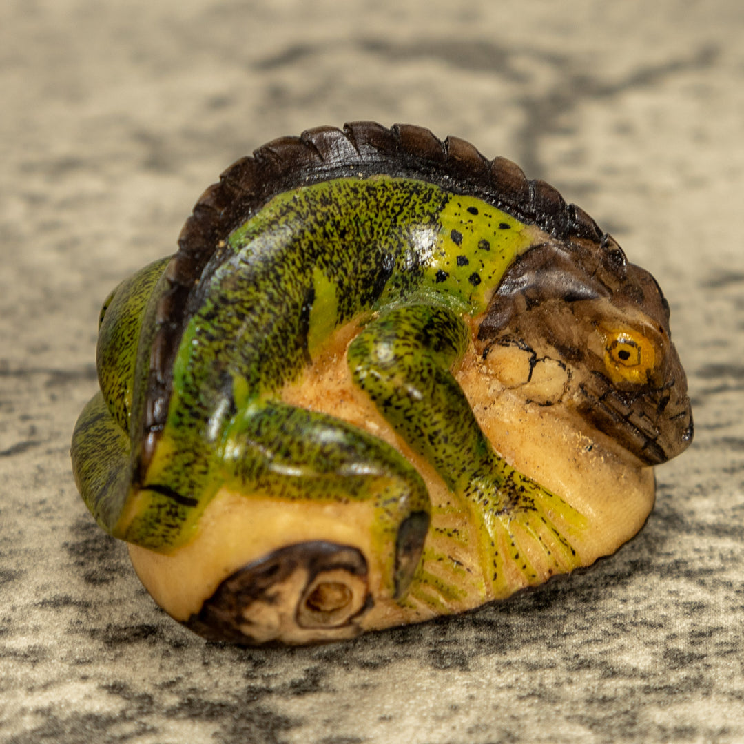 Green Iguana Lizard Tagua Nut Carving