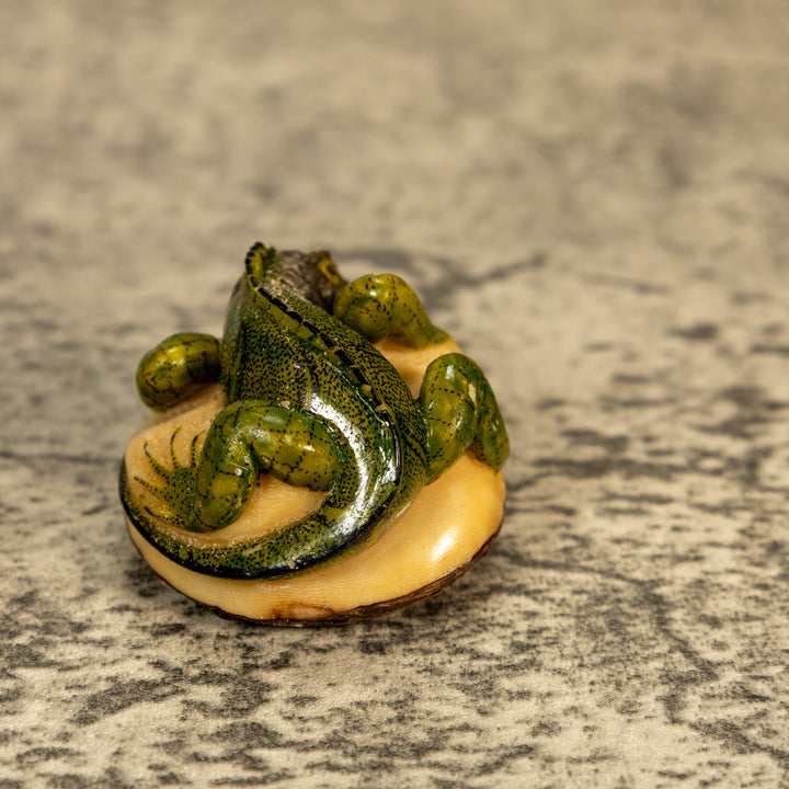 Green Iguana Lizard Tagua Nut Carving