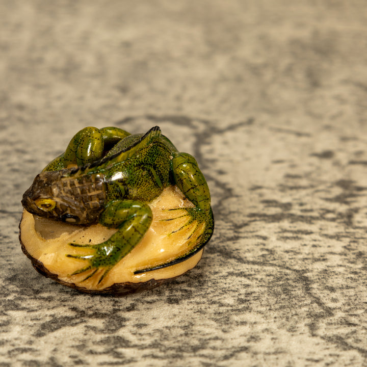 Green Iguana Lizard Tagua Nut Carving