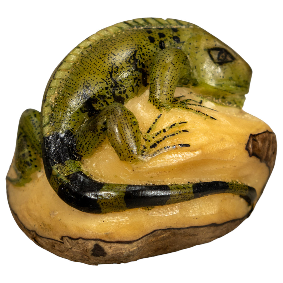 Green Iguana Lizard Tagua Nut Carving