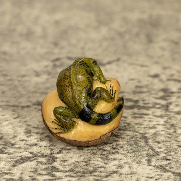 Green Iguana Lizard Tagua Nut Carving