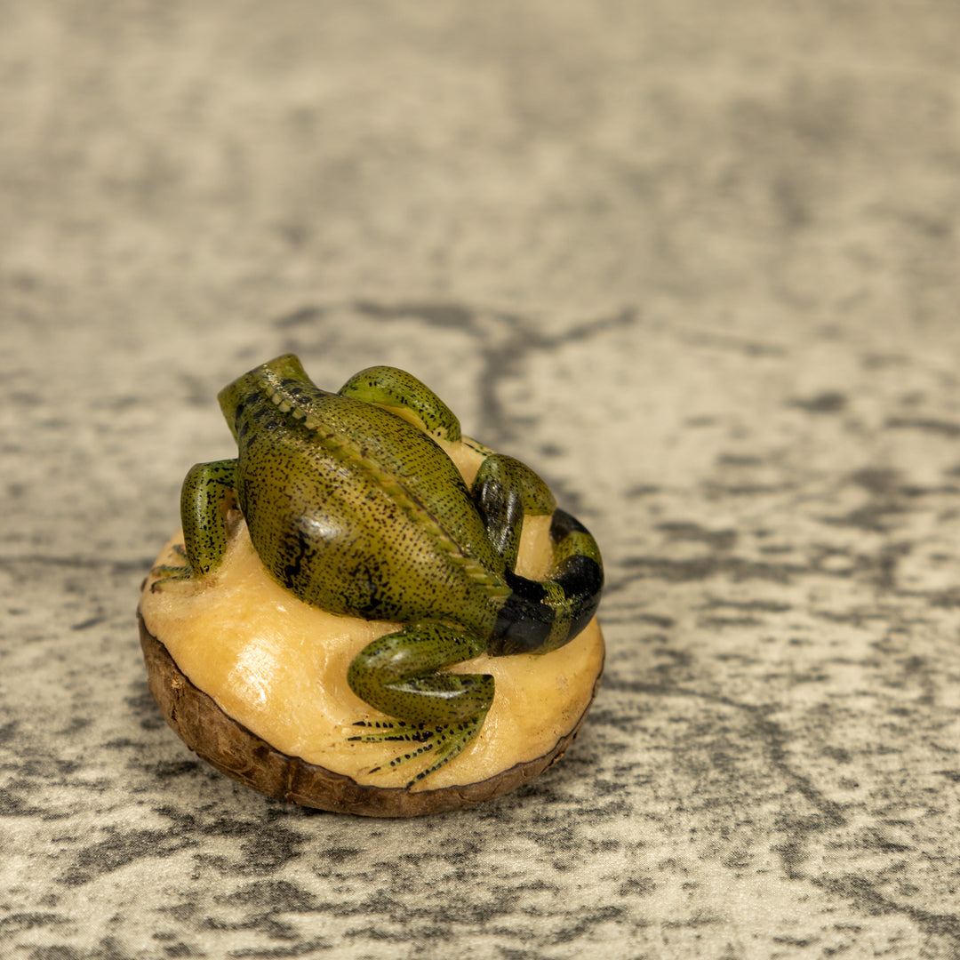 Green Iguana Lizard Tagua Nut Carving