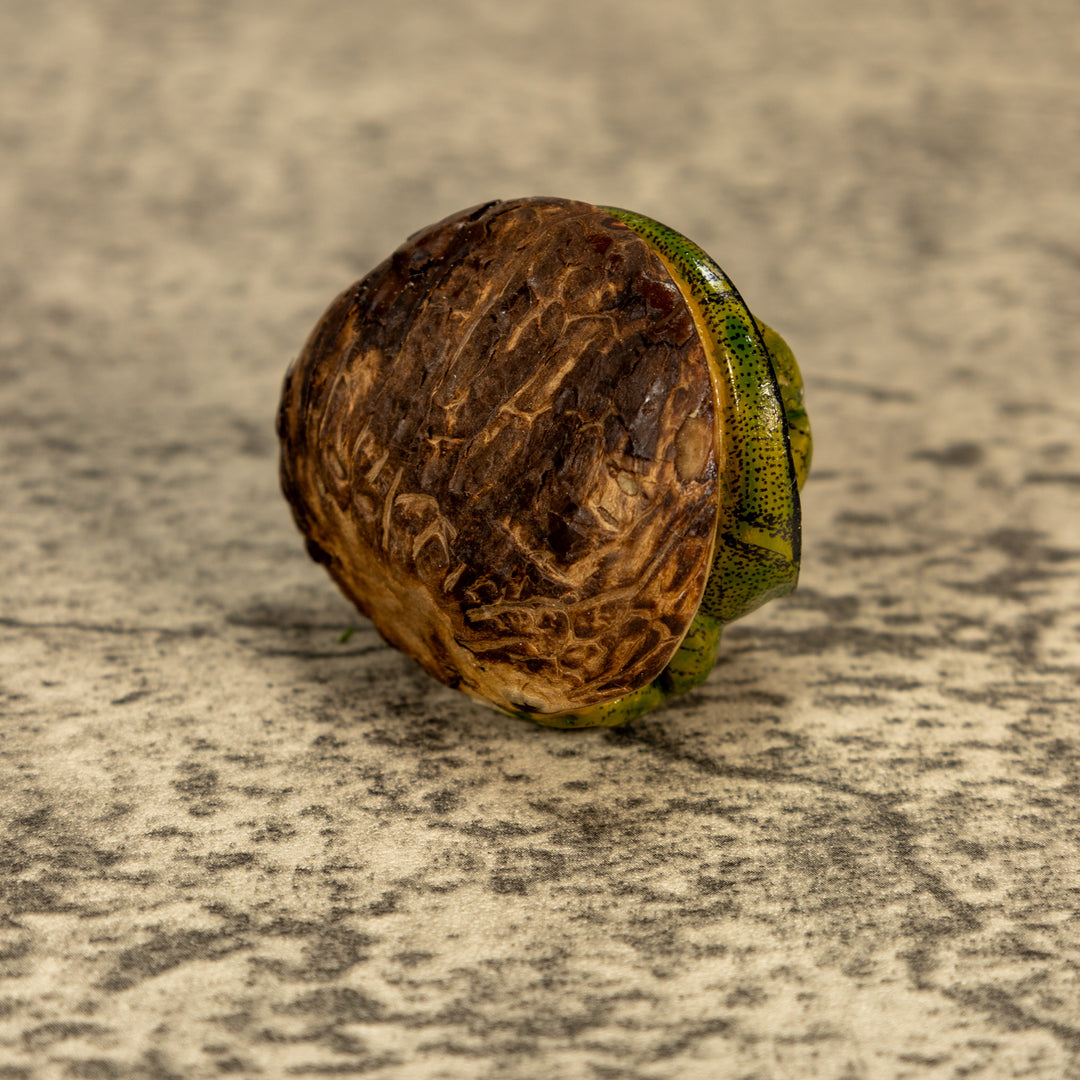 Green Iguana Lizard Tagua Nut Carving