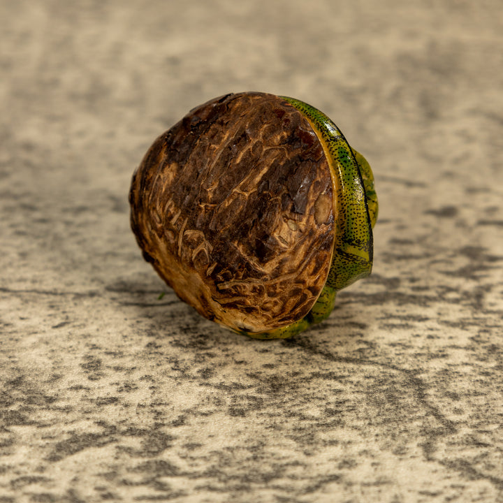 Green Iguana Lizard Tagua Nut Carving