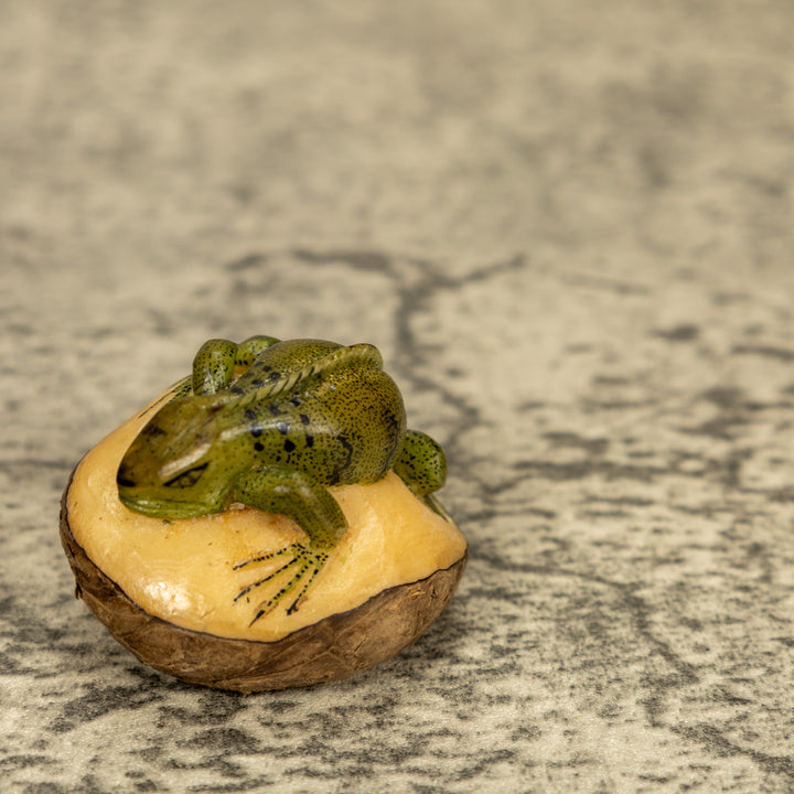 Green Iguana Lizard Tagua Nut Carving