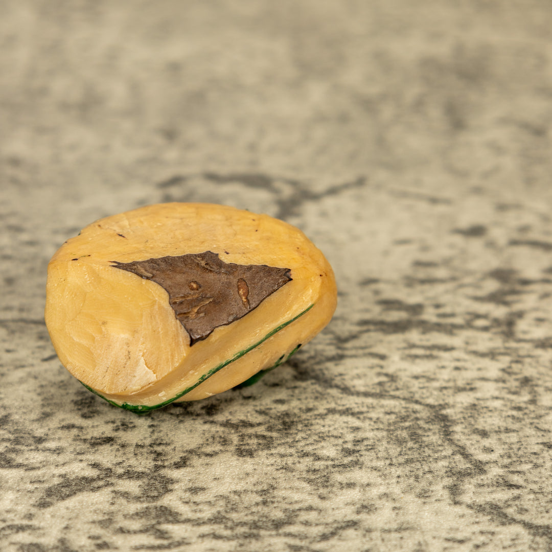 Green Iguana Lizard Tagua Nut Carving