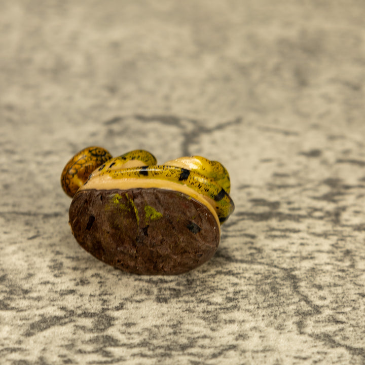 Green Iguana Lizard Tagua Nut Carving