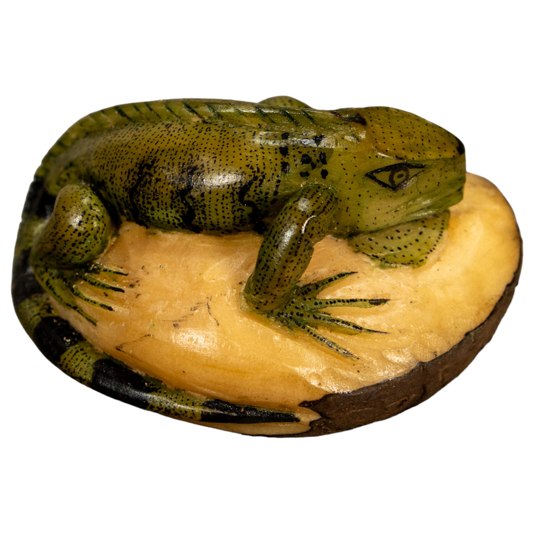 Green Iguana Lizard Tagua Nut Carving