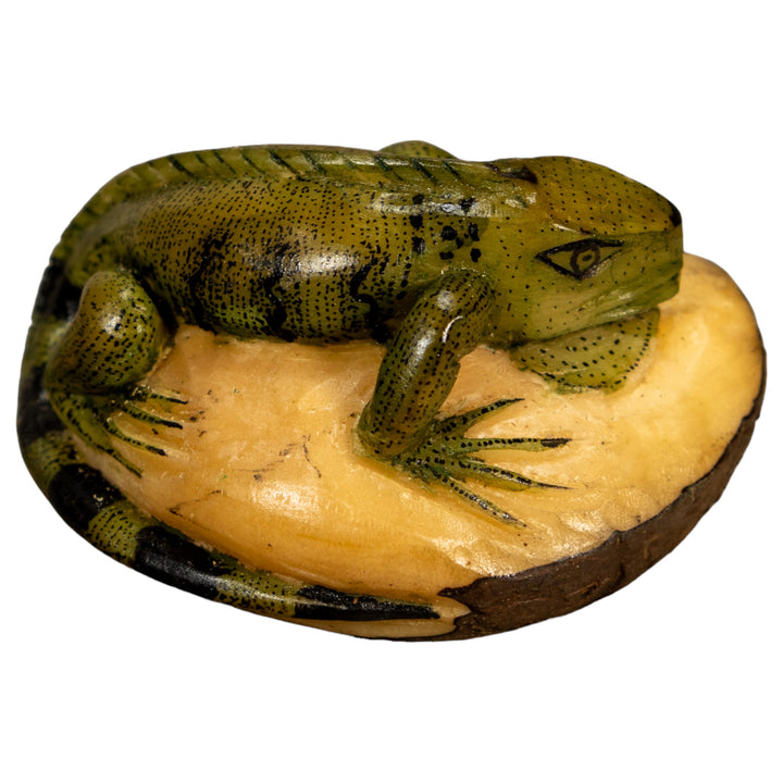 Green Iguana Lizard Tagua Nut Carving